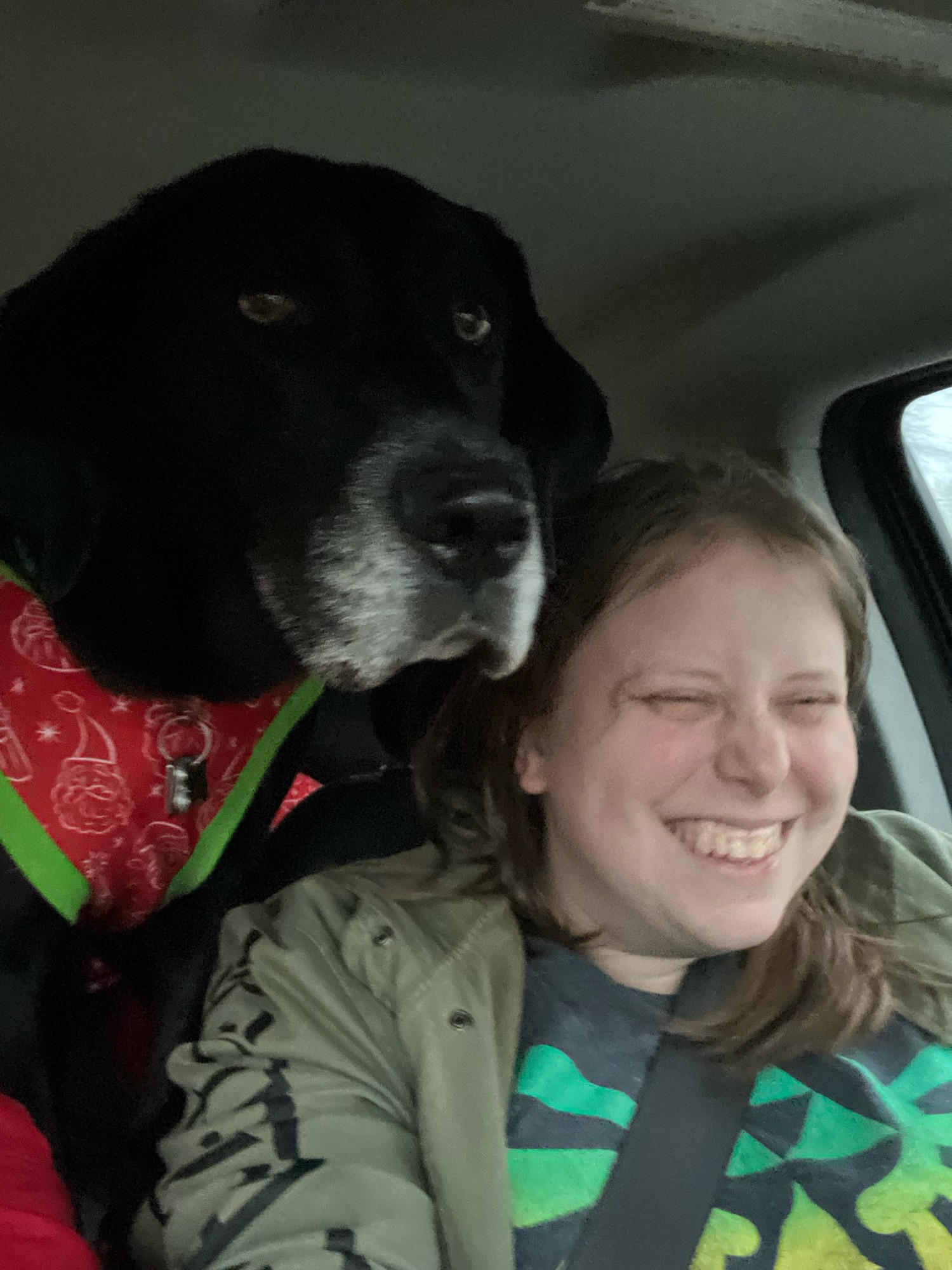 Lucy, my black coonhound mix, standing next to my shoulder while I drive; I am laughing and smiling about it